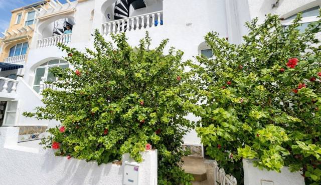 Appartement - Herverkoop - San Miguel de Salinas - Las Filipinas