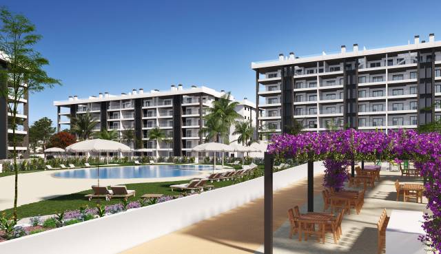 Atico - Nueva construcción  - Torrevieja - Torrevieja