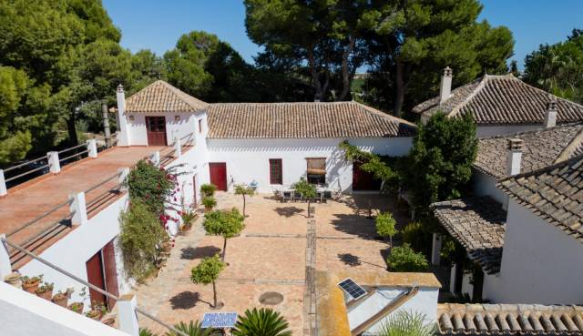 Finca - Revente - Balsicas - Balsicas
