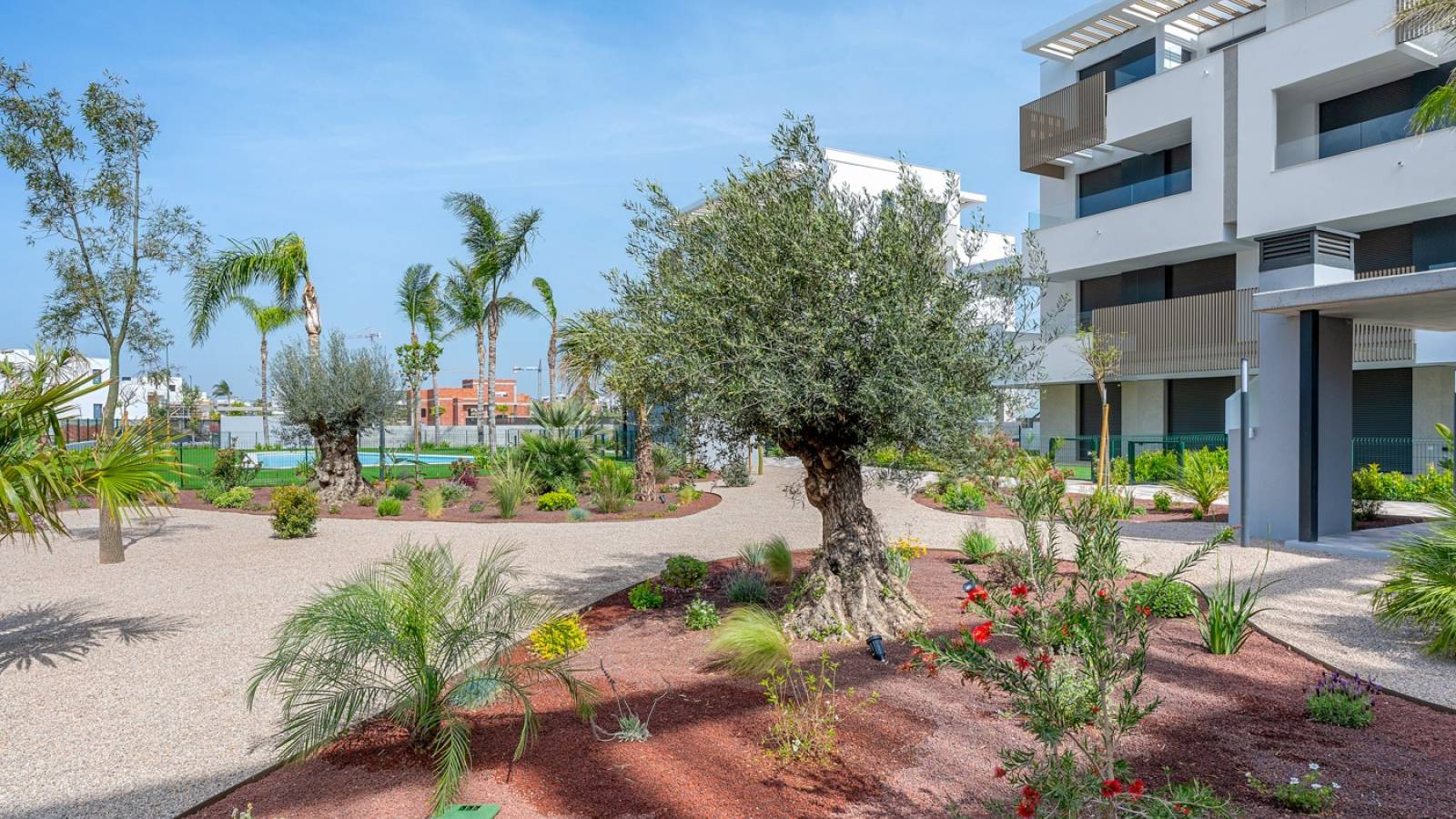 Herverkoop - Appartement - Los Alcazares - Santa Rosalia