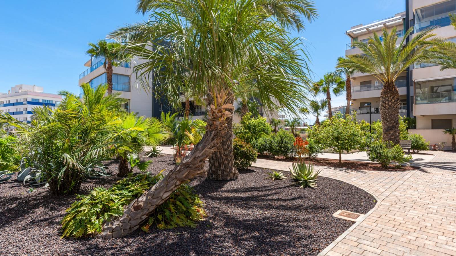 Herverkoop - Appartement - Orihuela Costa - Los Dolses