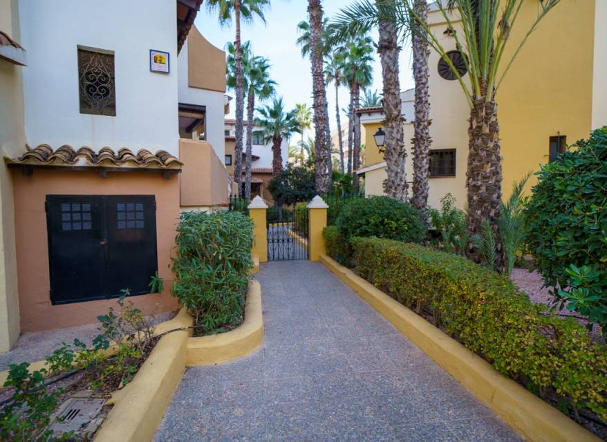 Herverkoop - Appartement - Torrevieja