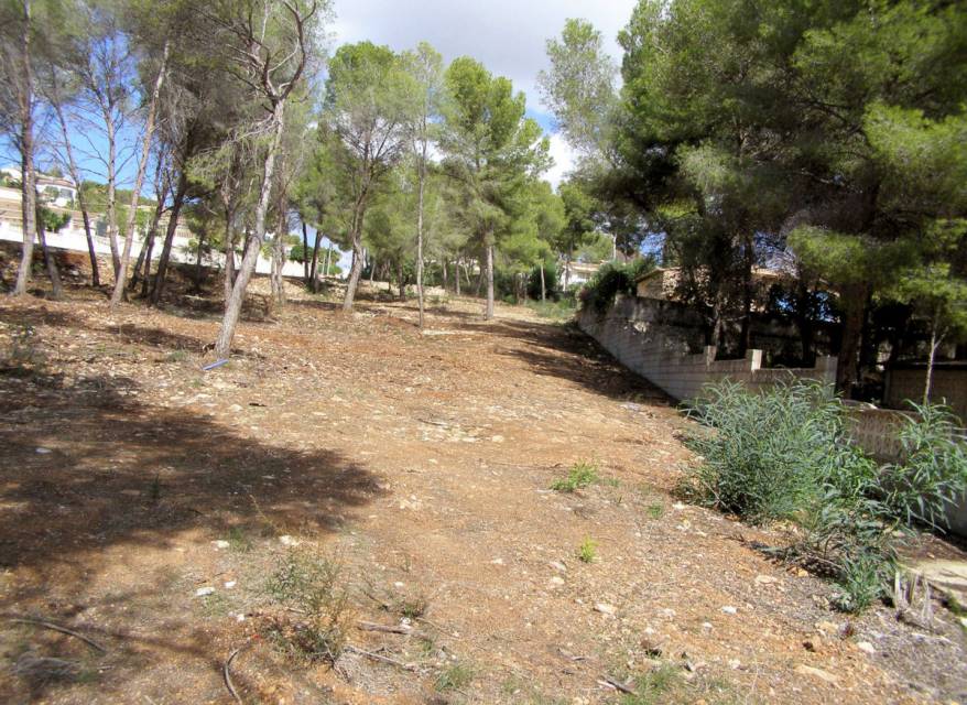 Herverkoop - Plot - Moraira - Pinar del Advocat - Cometa