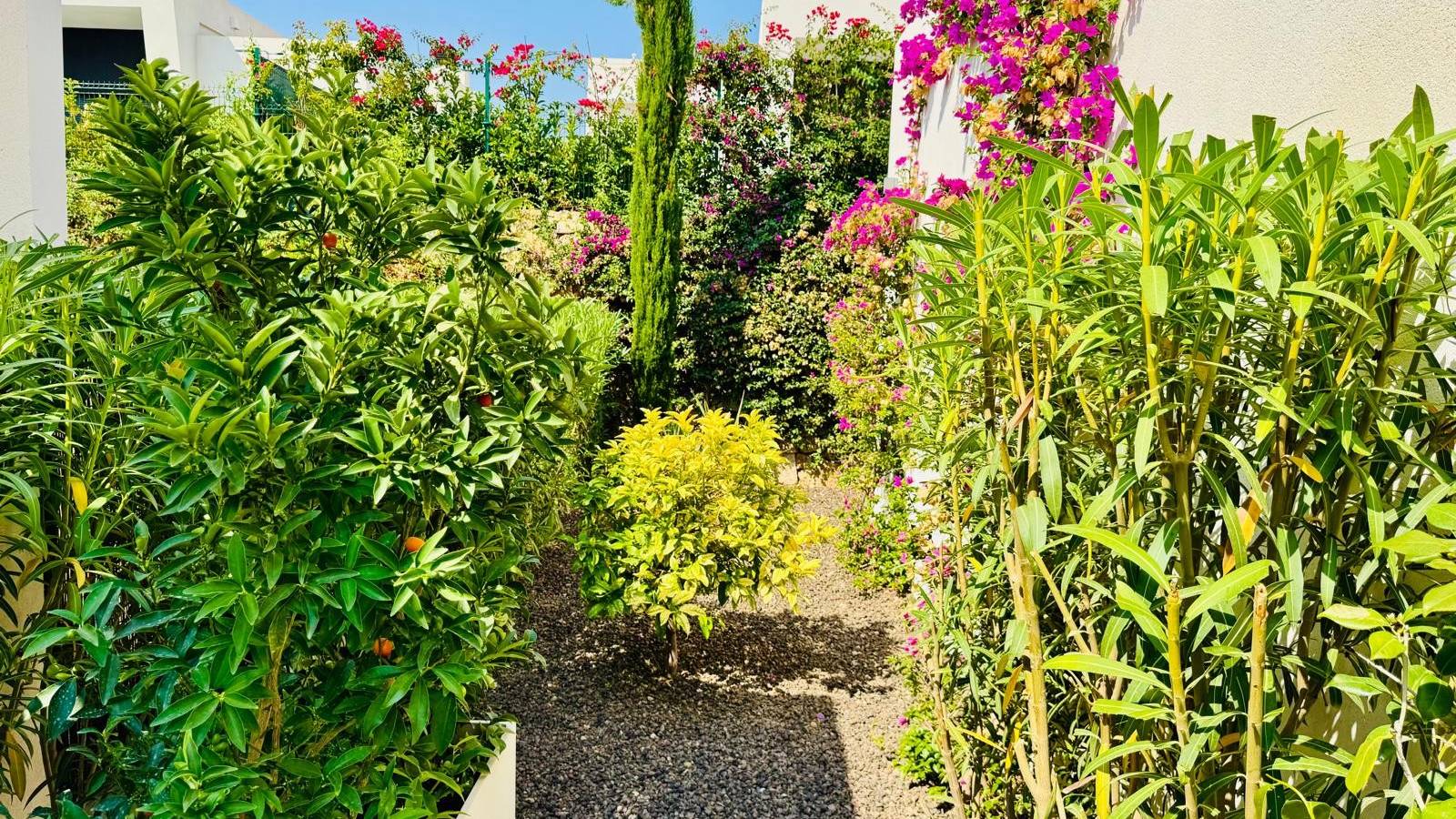 Herverkoop - Villa - Algorfa - La finca Golf