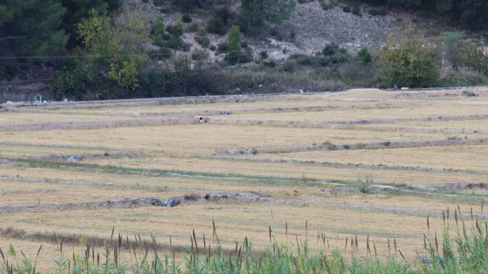 Herverkoop - Villa - Cabo Roig - Calasparra