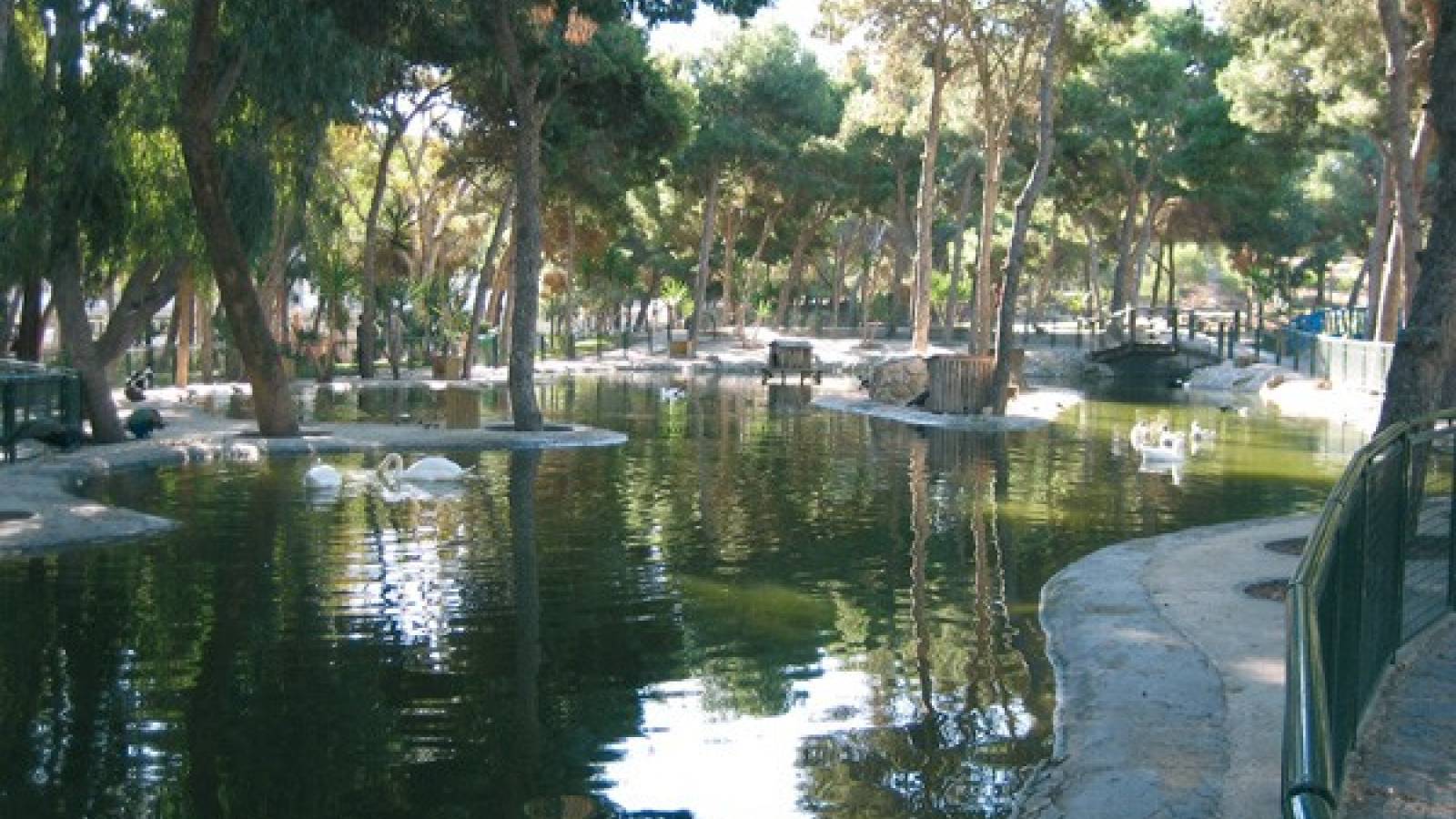 Neue immoblilien - Erdgeschoss - Ciudad Quesada