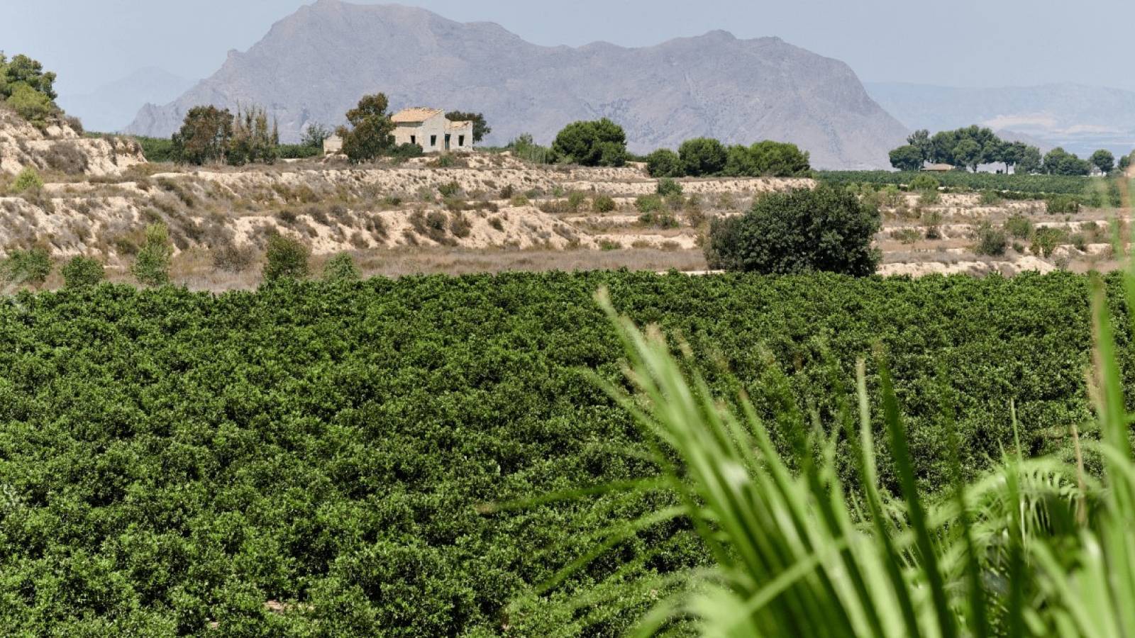 Neue immoblilien - Erdgeschoss - La Finca Golf