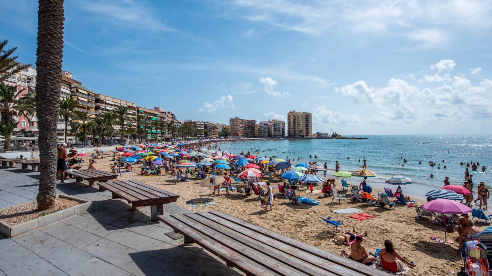 Neue immoblilien - Erdgeschoss - Orihuela Costa - Punta Prima