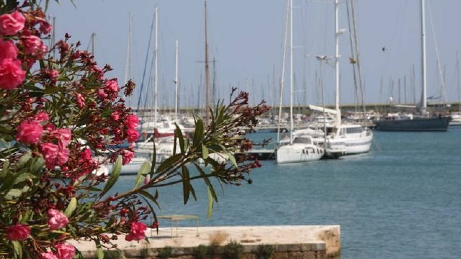 Neue immoblilien - Erdgeschoss - Torrevieja