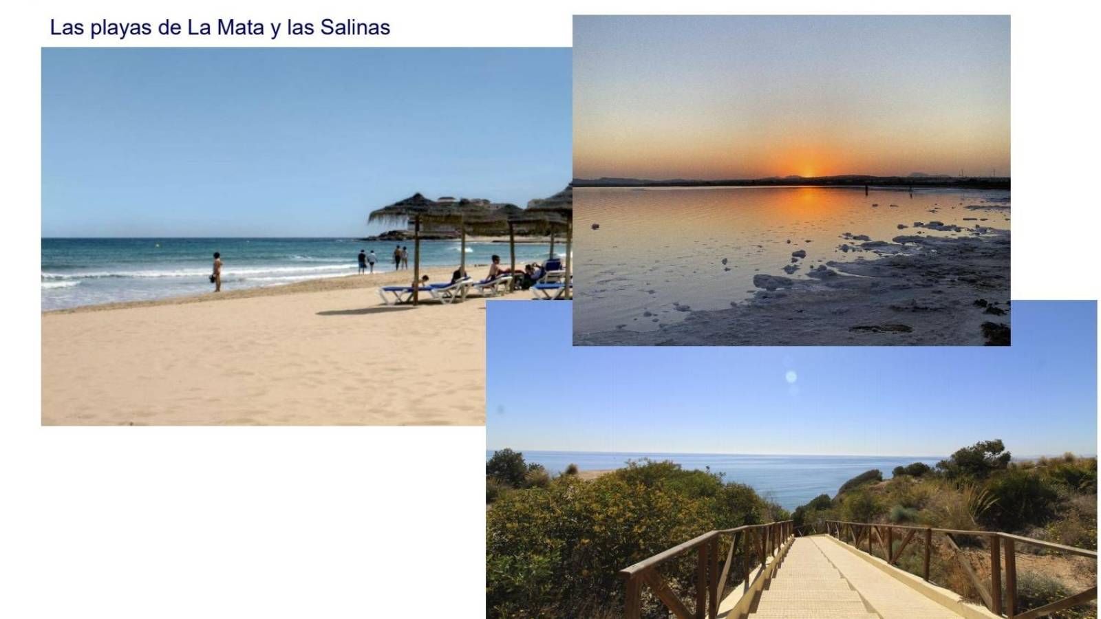 Neue immoblilien - Penthouse - La Mata