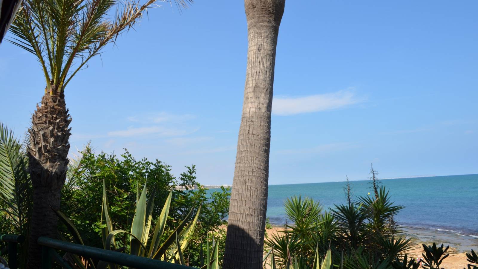 Neue immoblilien - Penthouse - La Mata