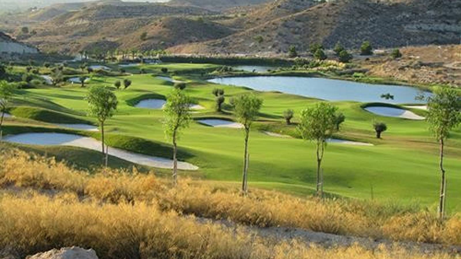 Neue immoblilien - Penthouse - Monforte del Cid