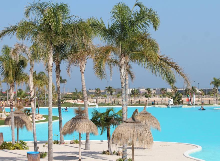 Neue immoblilien - Penthouse - Santa Rosalia - 