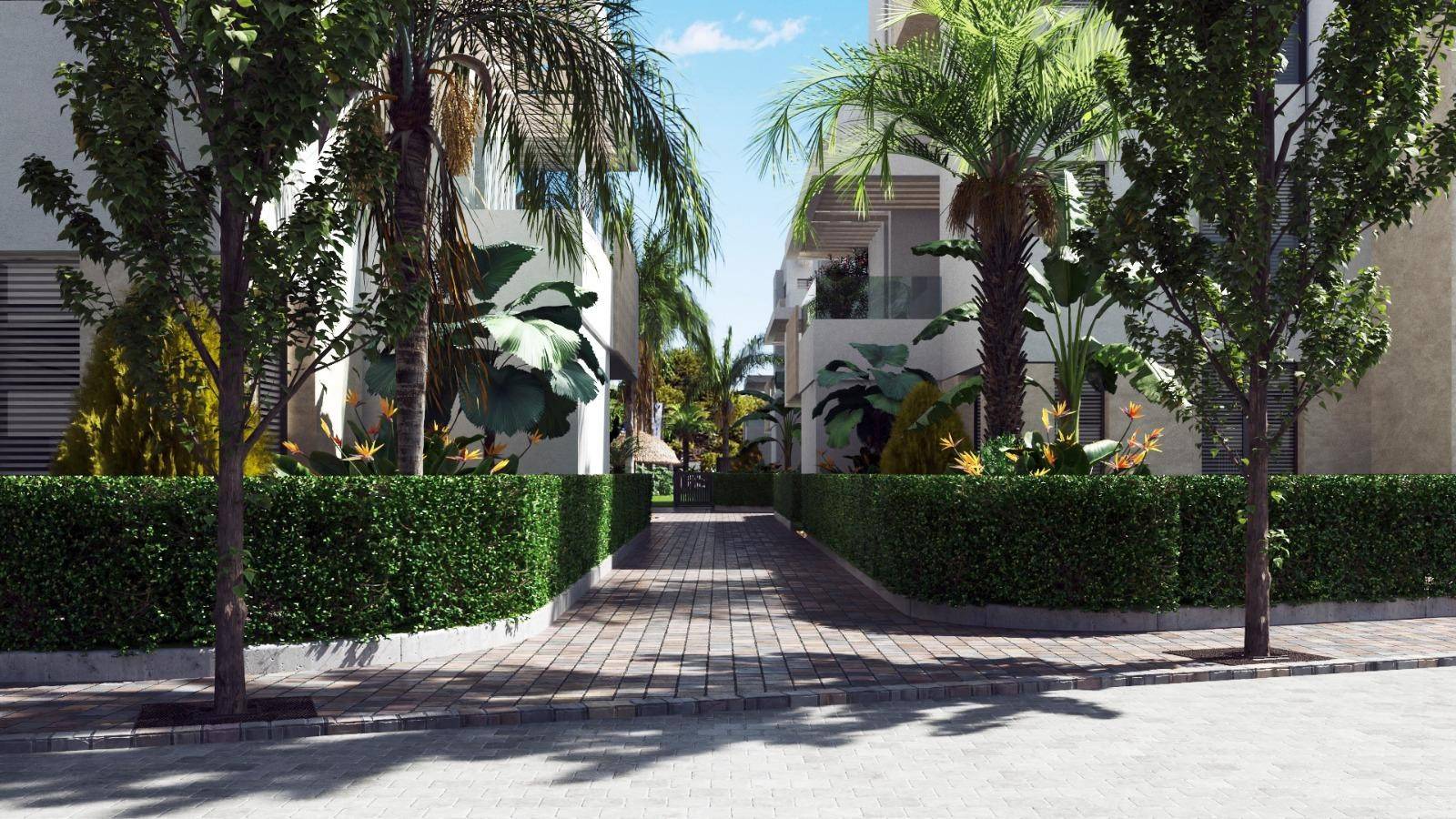 Neue immoblilien - Penthouse - Santa Rosalia - 