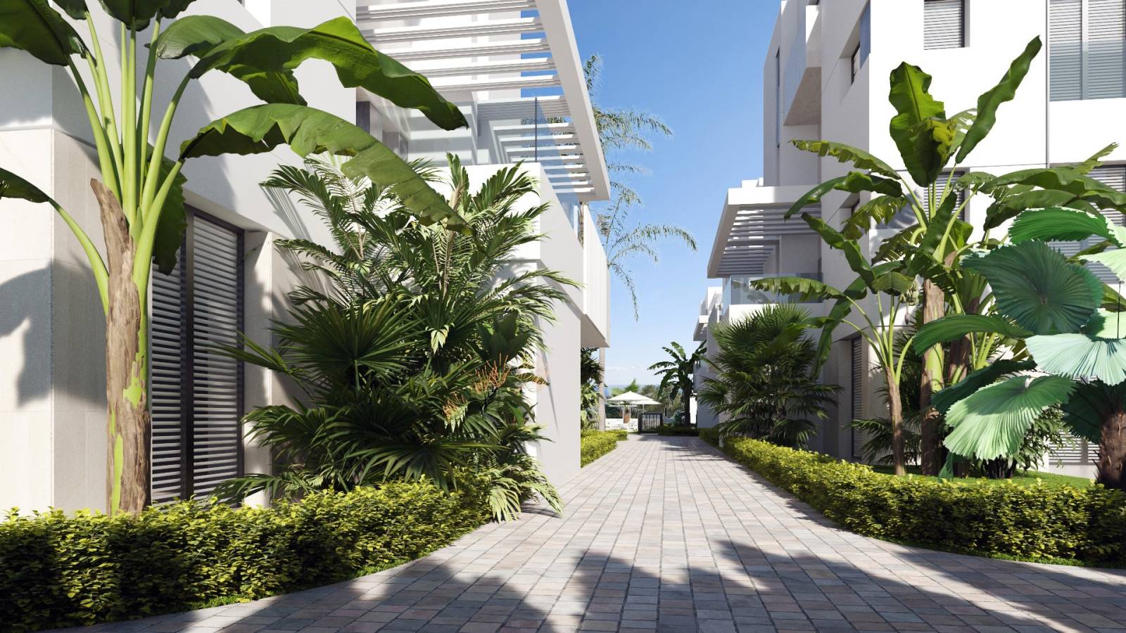 Neue immoblilien - Penthouse - Santa Rosalia - 