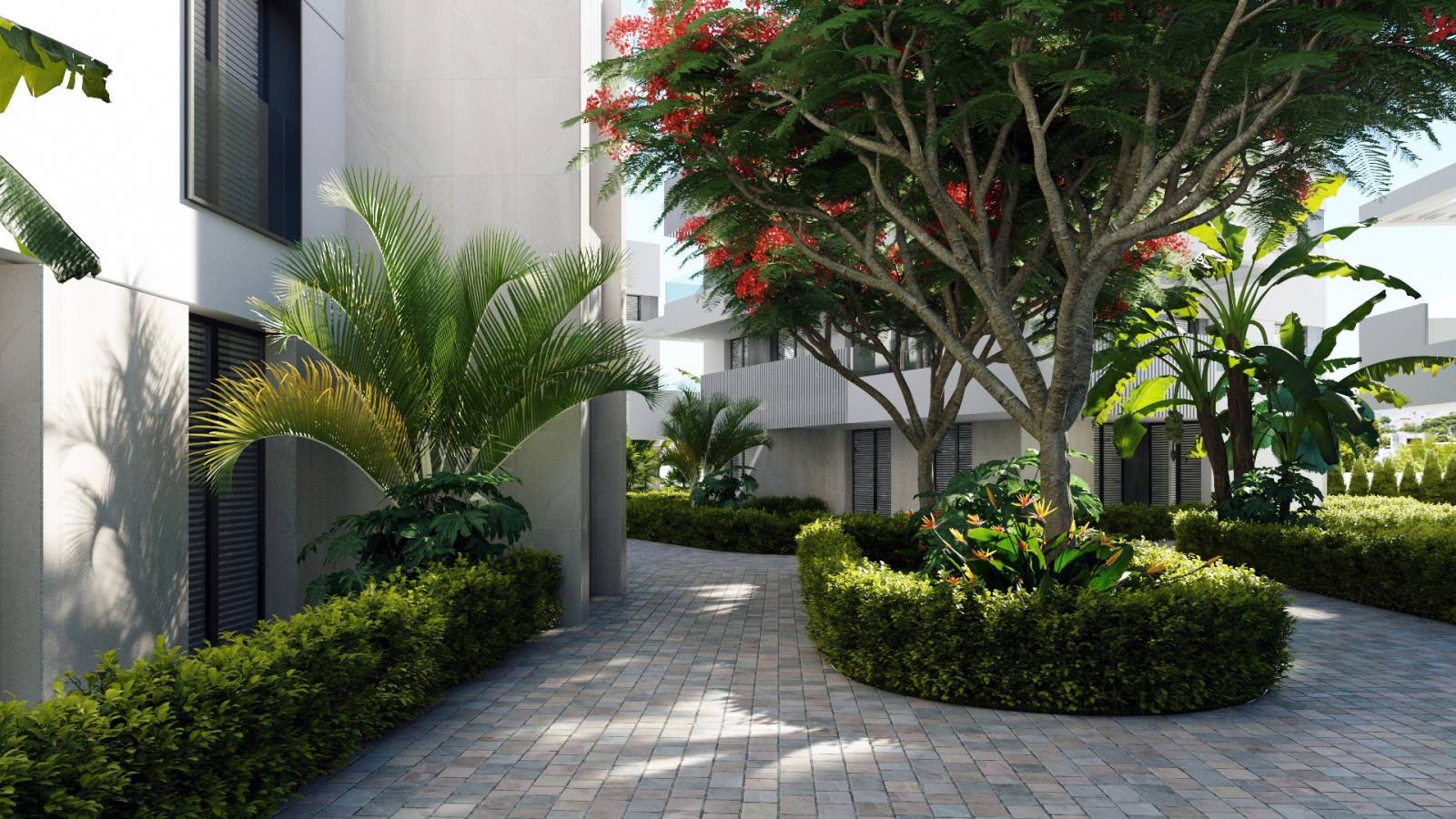 Neue immoblilien - Penthouse - Santa Rosalia - 