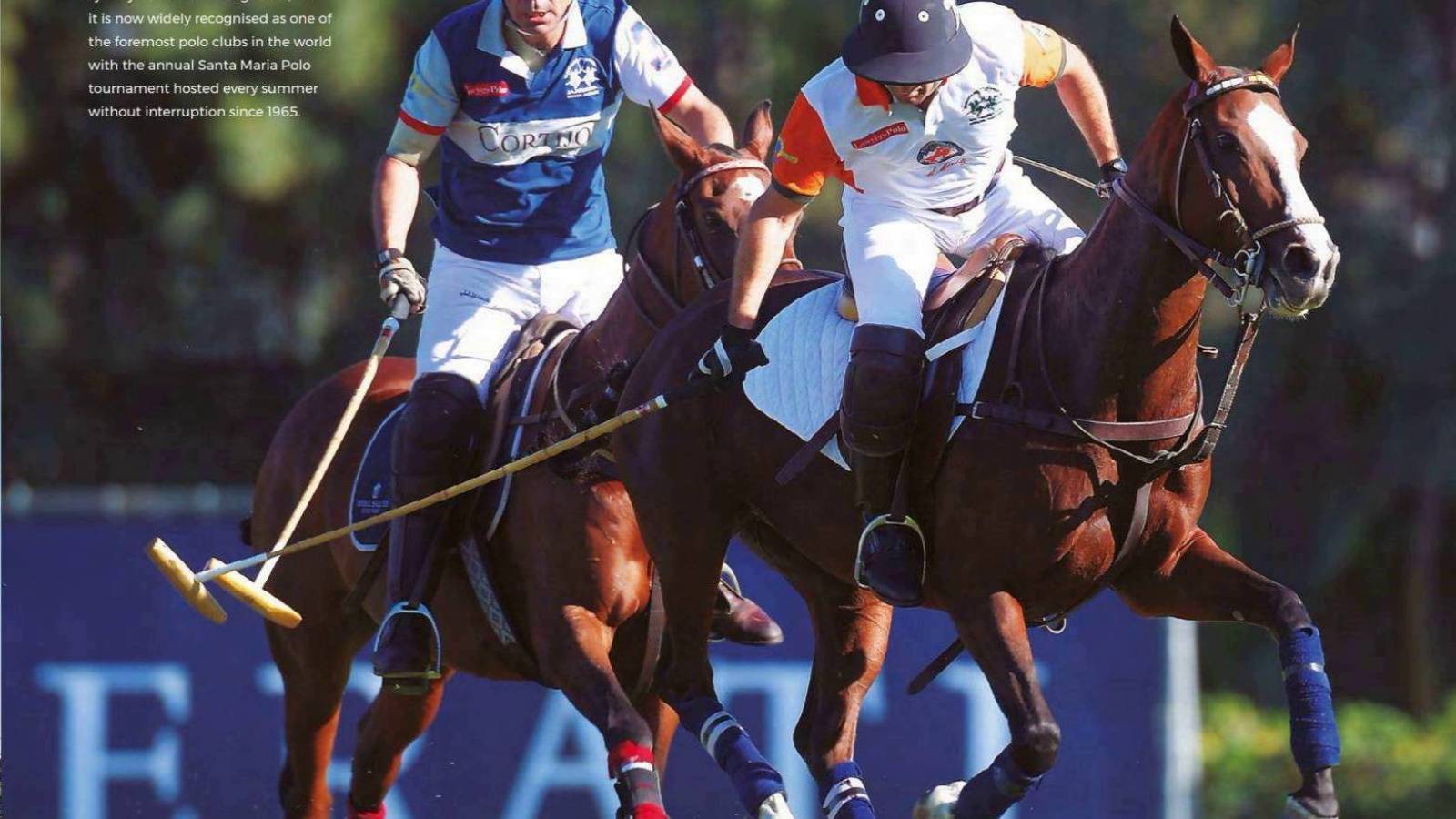 Neue immoblilien - Penthouse - Sotogrande