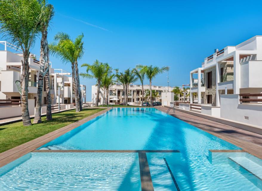 Neue immoblilien - Penthouse - Torrevieja