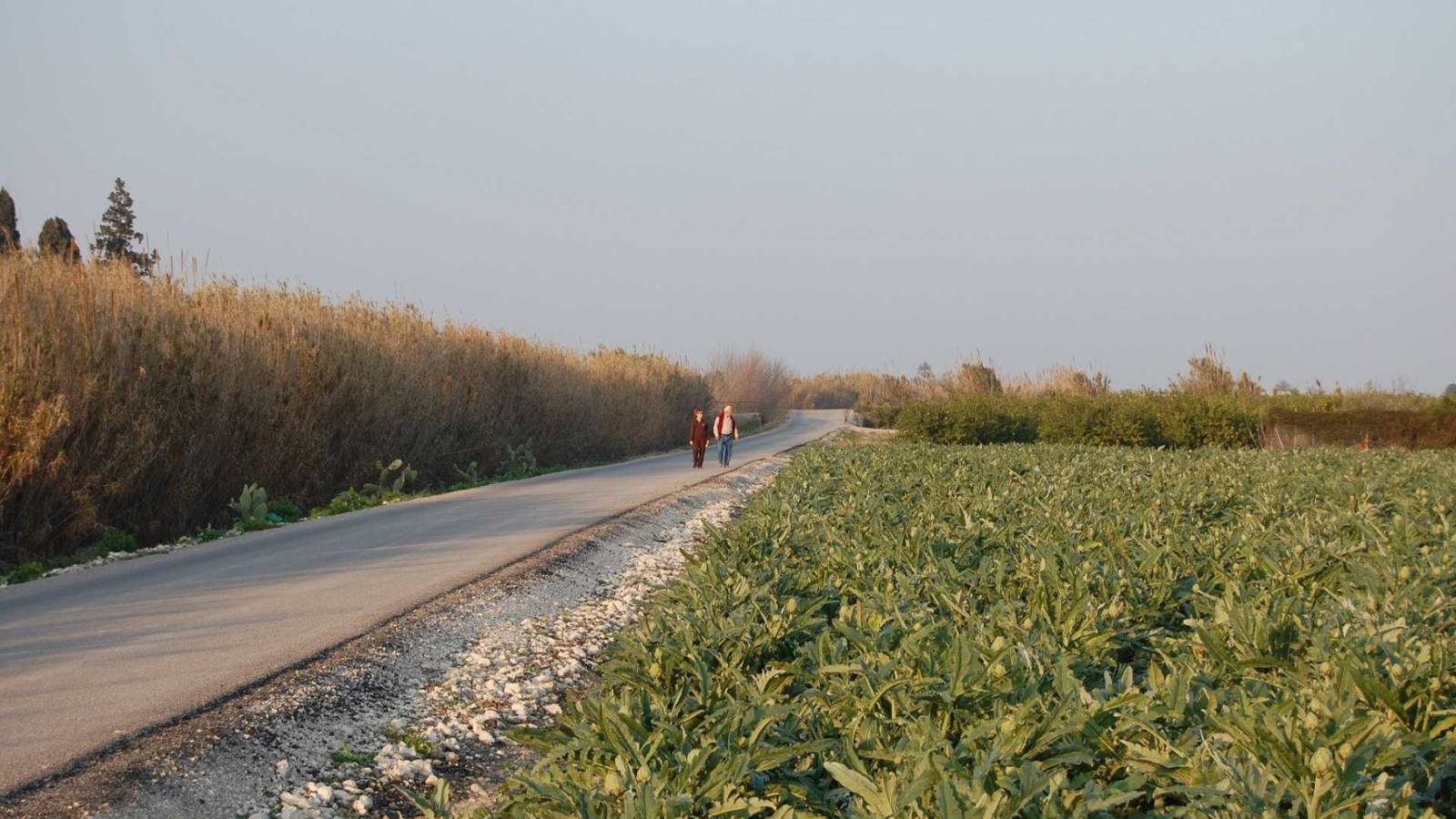 Neue immoblilien - Villa - Almoradí