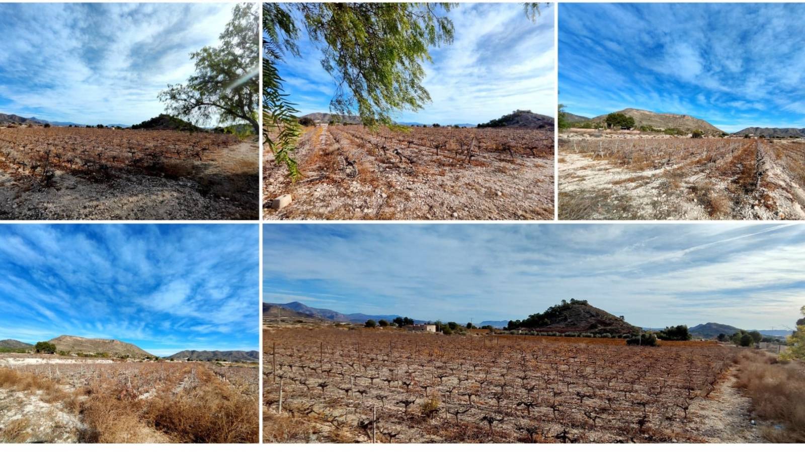 Neue immoblilien - Villa - La Romana