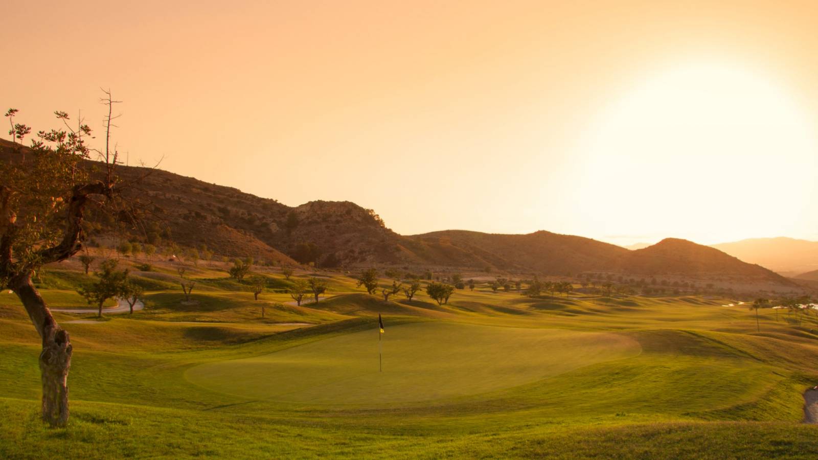 Neue immoblilien - Villa - Monforte del Cid