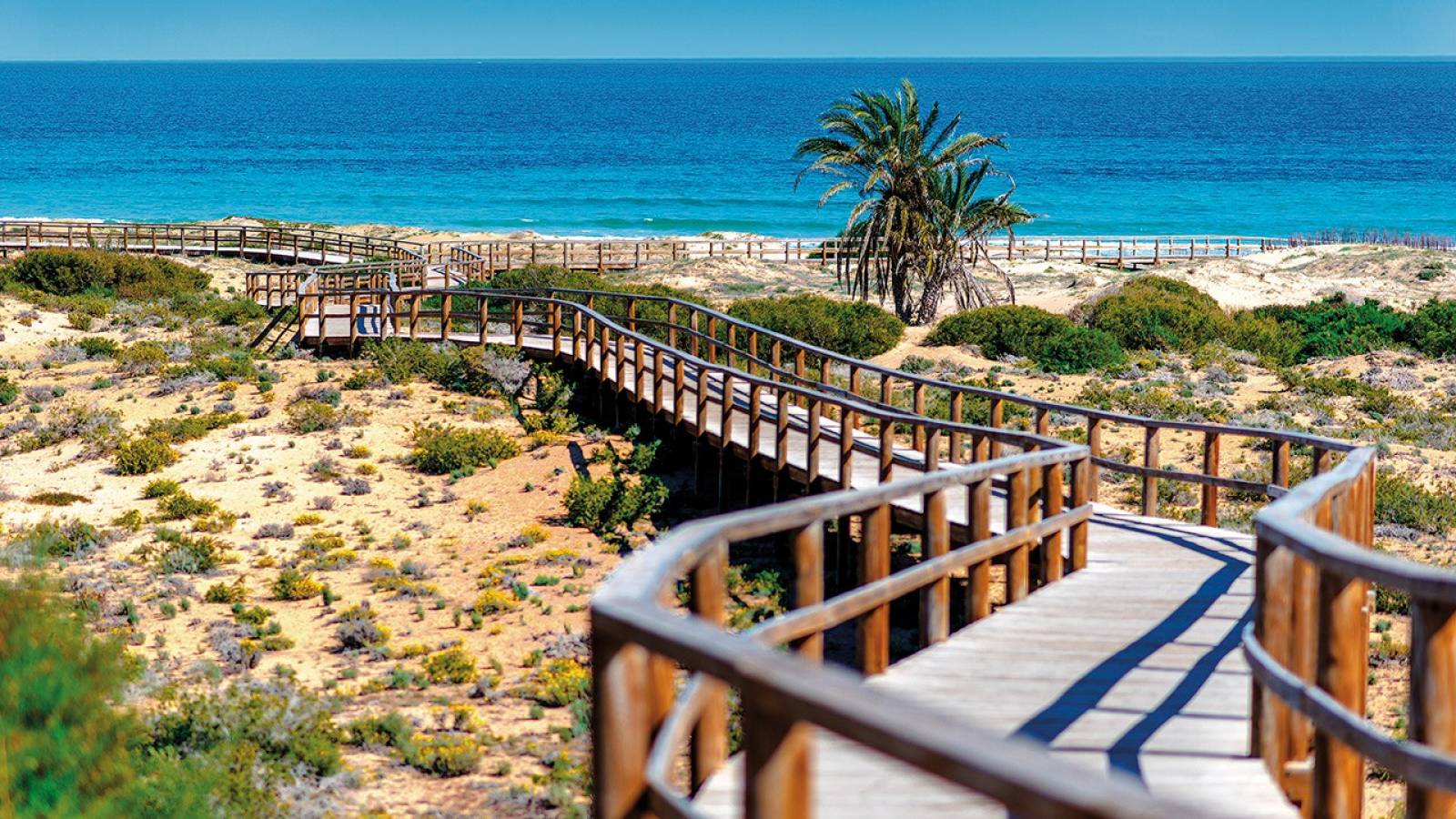 Neue immoblilien - Villa - Monforte del Cid