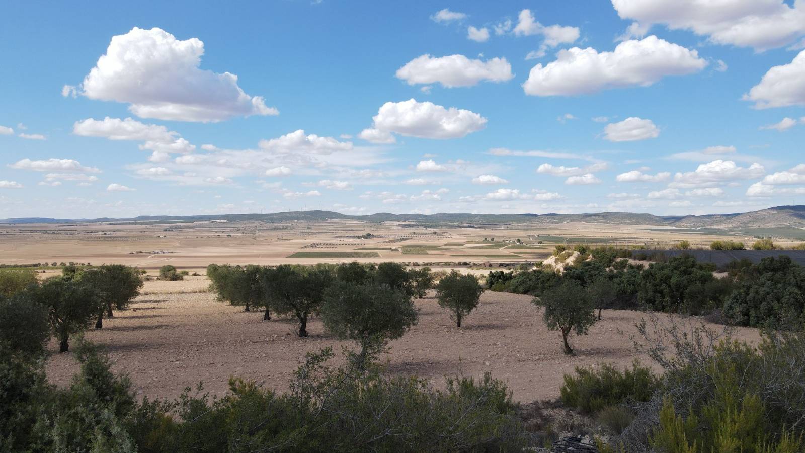 Neue immoblilien - Villa - Yecla