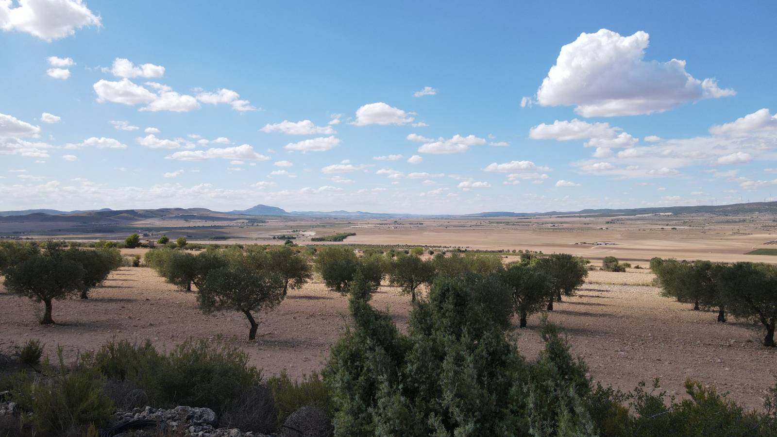 Neue immoblilien - Villa - Yecla