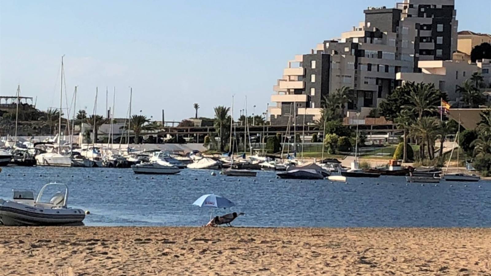 Neue immoblilien - Wohnung - La Manga del Mar Menor - 