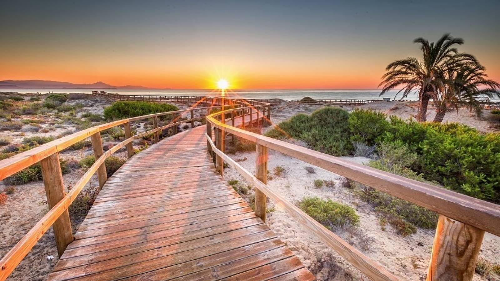 New Build - Apartment - Castalla