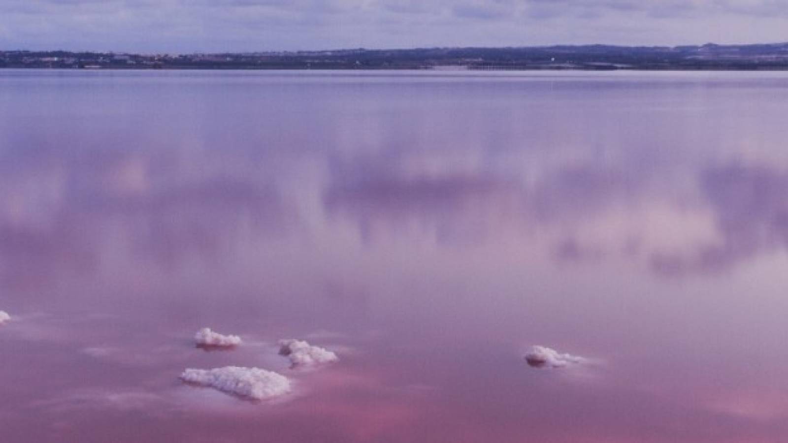 New Build - Apartment - Ciudad Quesada