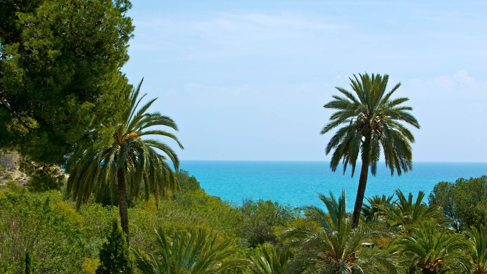 New Build - Apartment - La Vila Joiosa