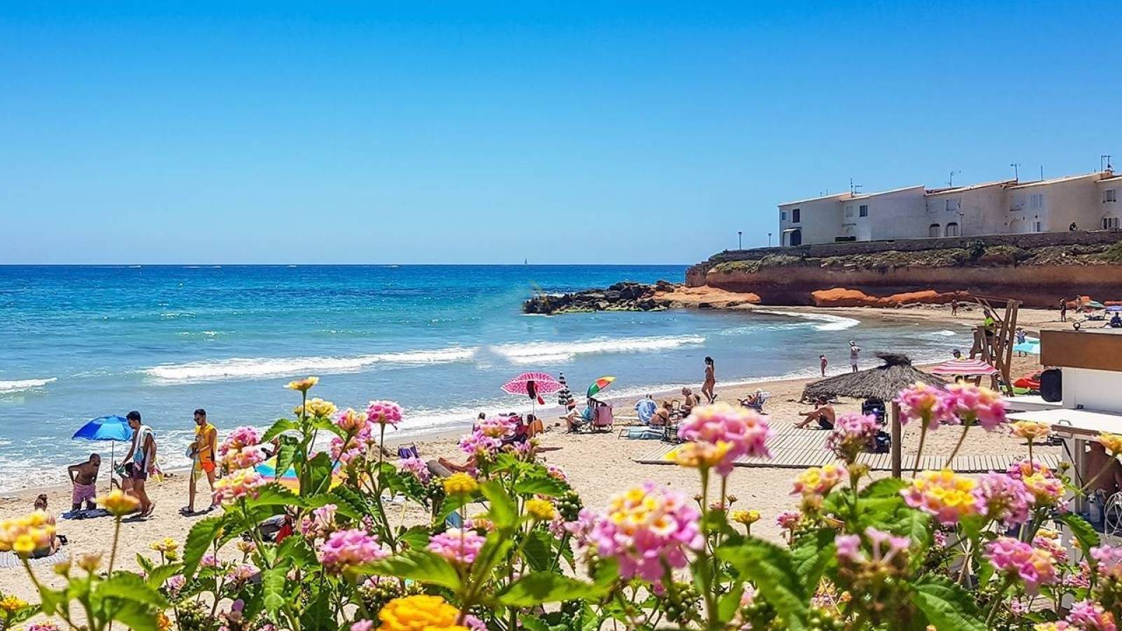 New Build - Apartment - Playa Flamenca