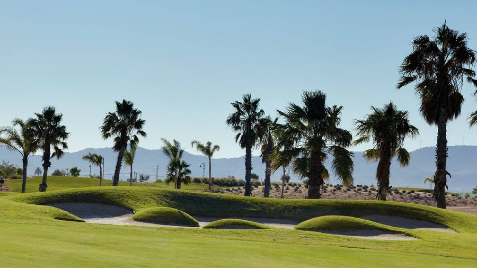 New Build - Apartment - Torre Pacheco