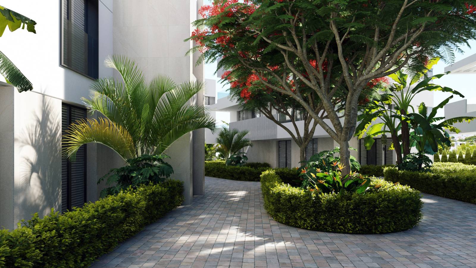 New Build - Penthouse - Santa Rosalía