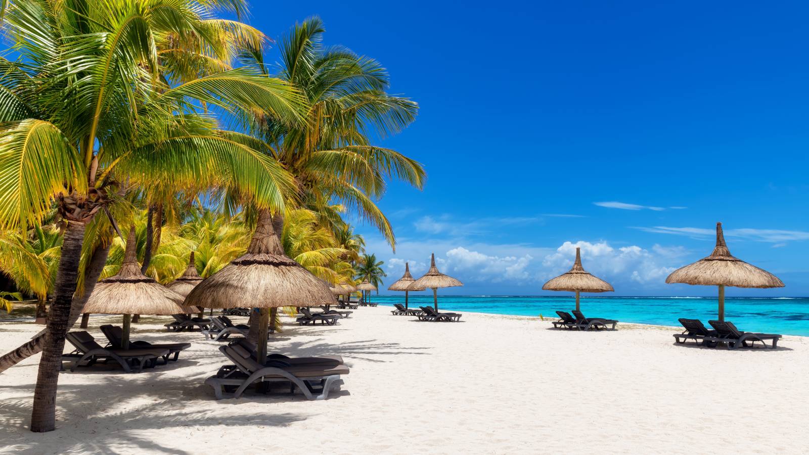 New Build - Penthouse - Sotogrande