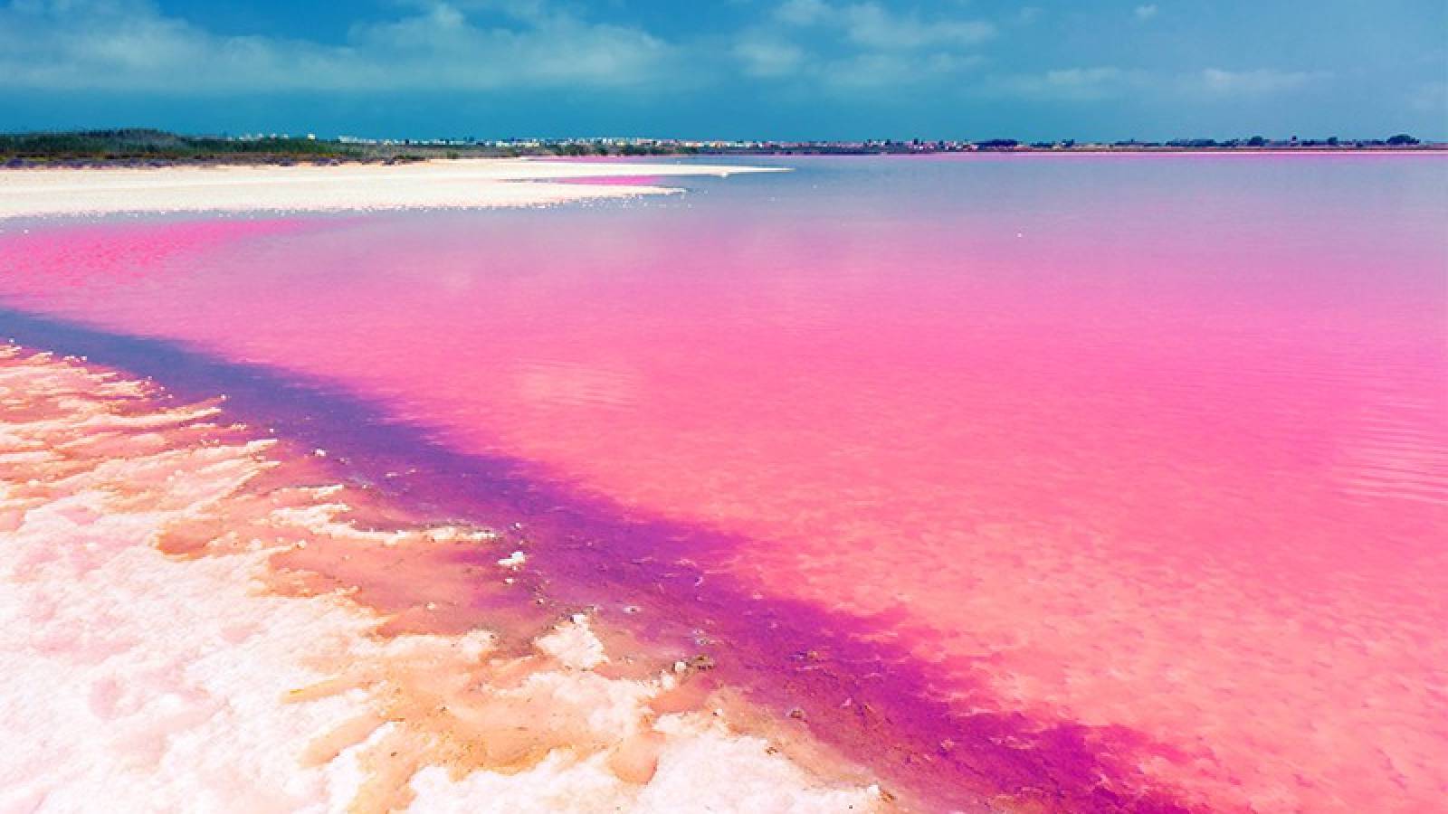 New Build - Penthouse - Torrevieja