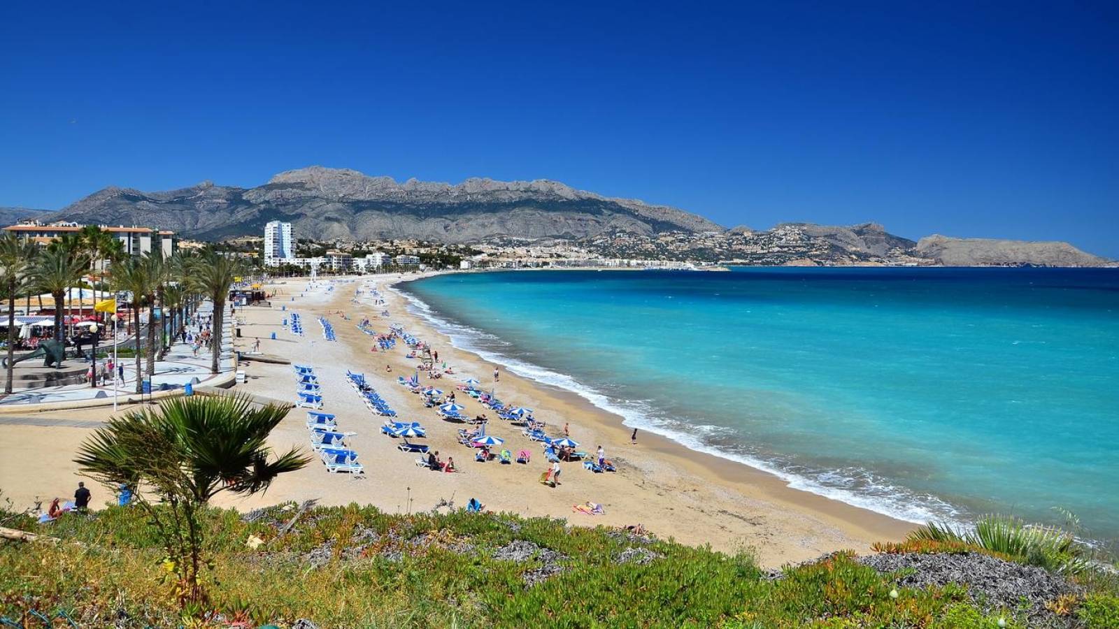 New Build - Villa - Alfas del Pí