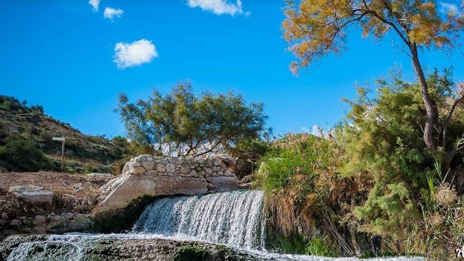 New Build - Villa - Aspe