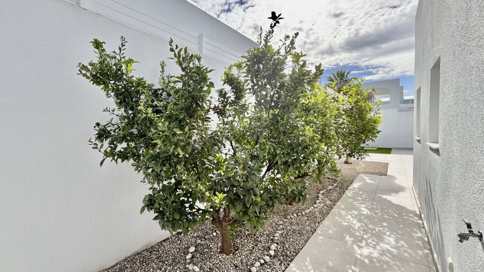 New Build - Villa - Benijofar