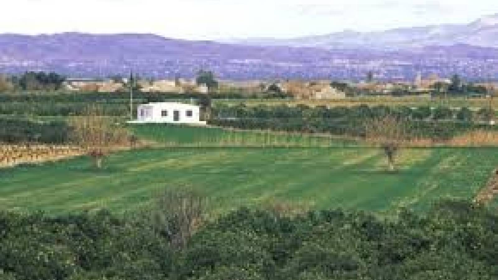 New Build - Villa - Daya Nueva