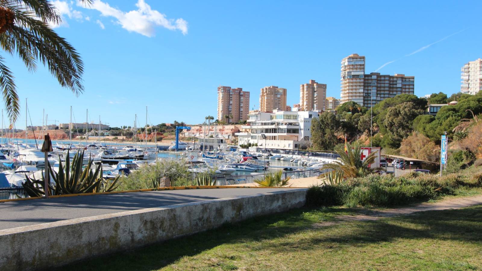 New Build - Villa - Dehesa de campoamor