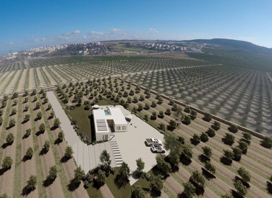 New Build - Villa - La Finca Golf - La finca Golf