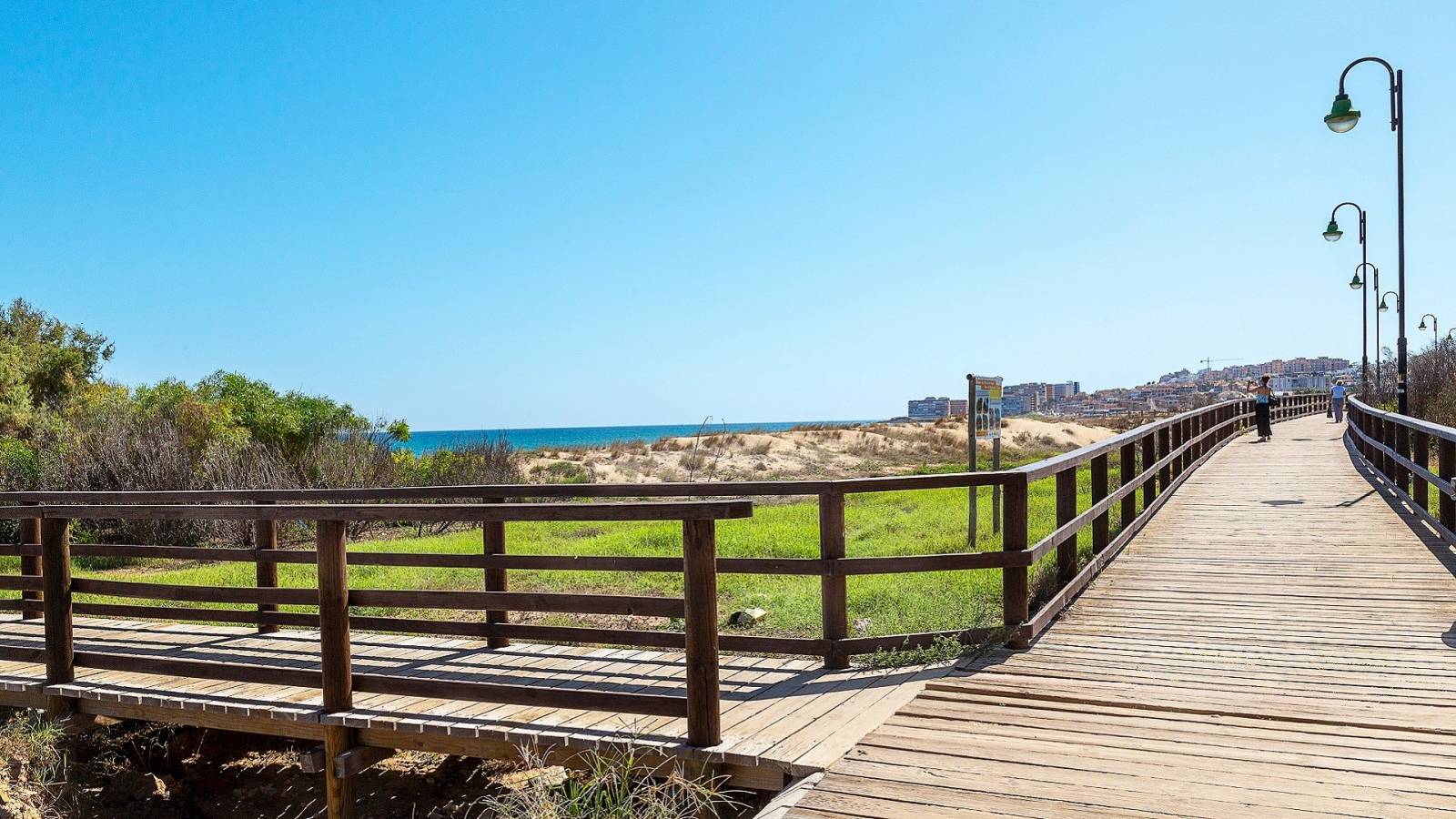 New Build - Villa - La Mata