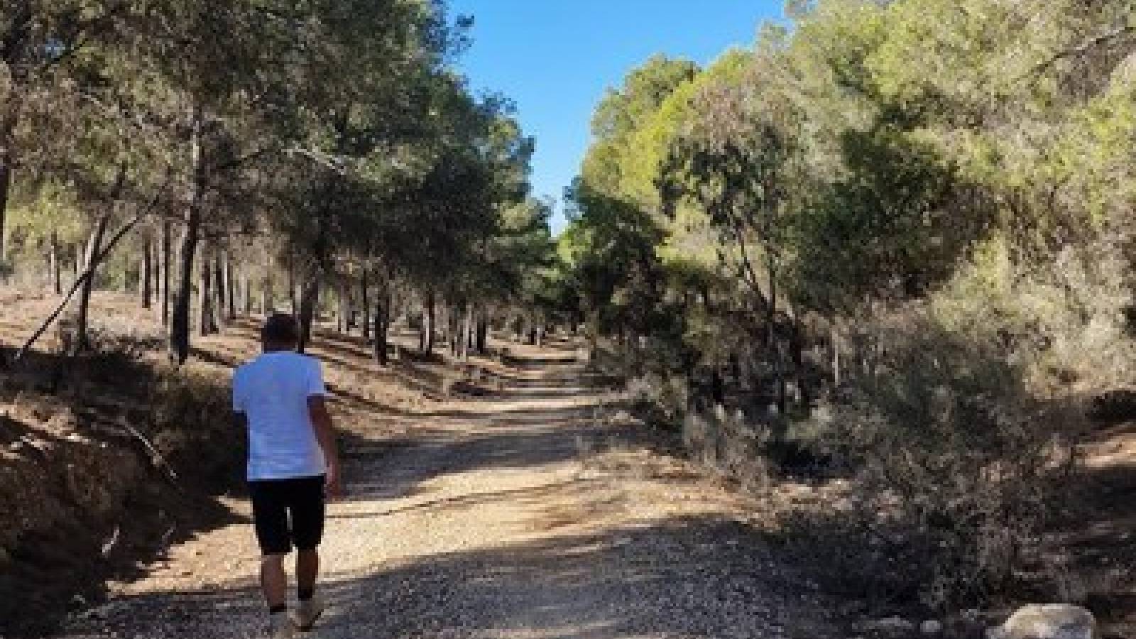 New Build - Villa - La Pinilla