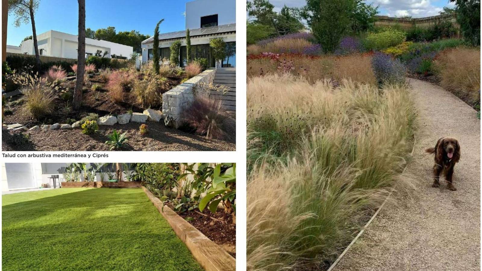 New Build - Villa - Las Colinas Golf Resort - Las Colinas