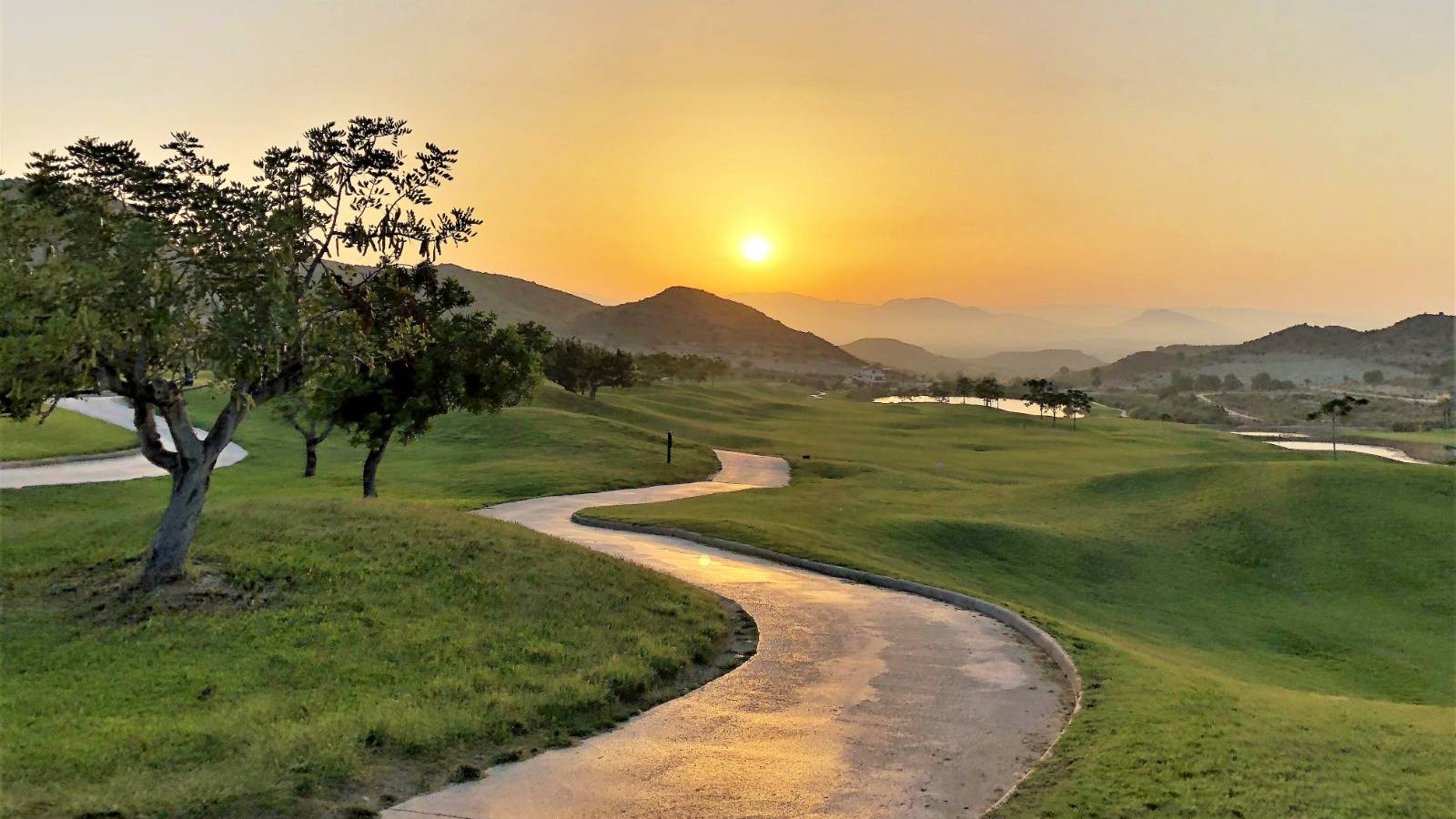 New Build - Villa - Monforte del Cid