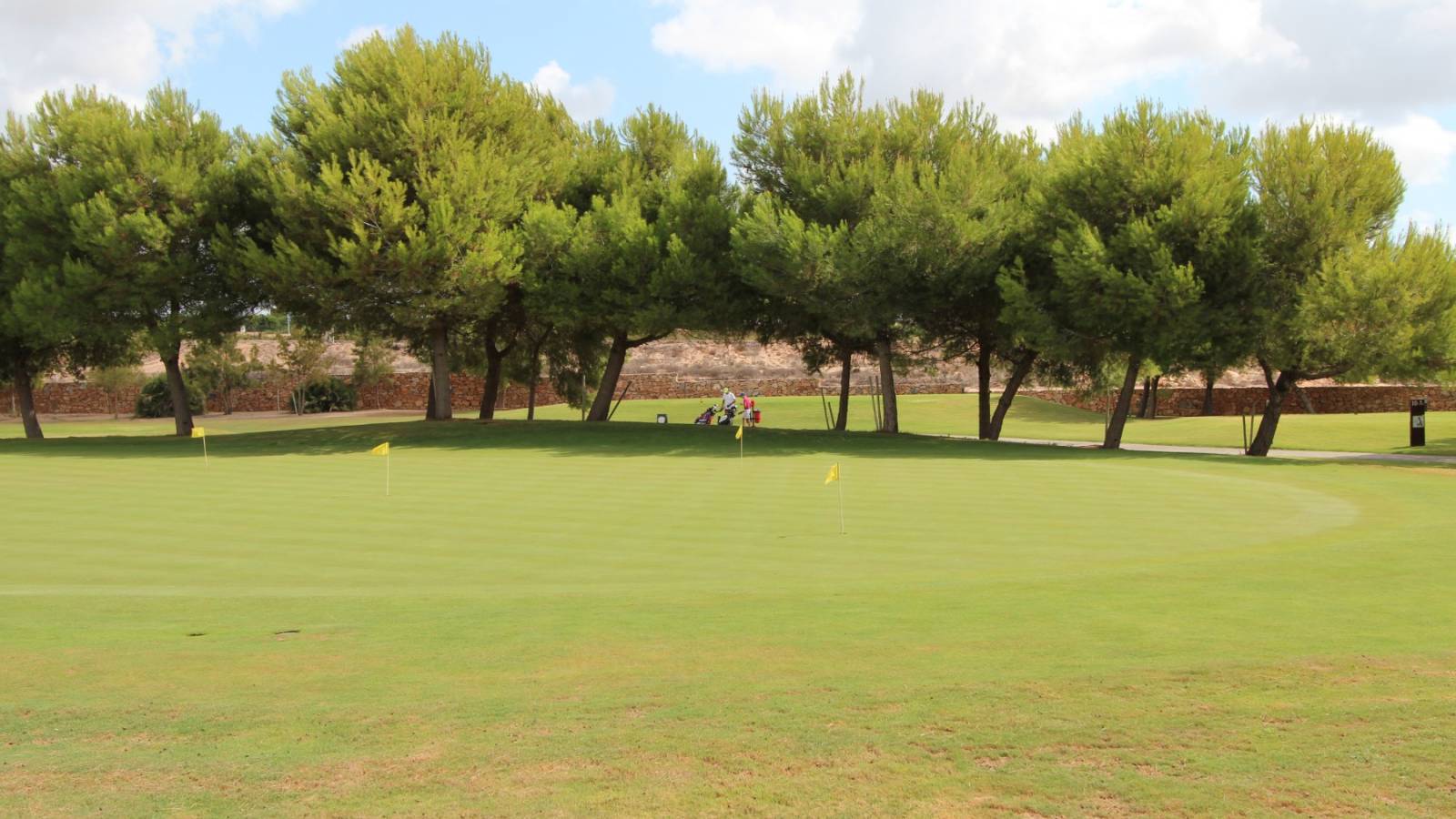 New Build - Villa - Pilar de la Horadada