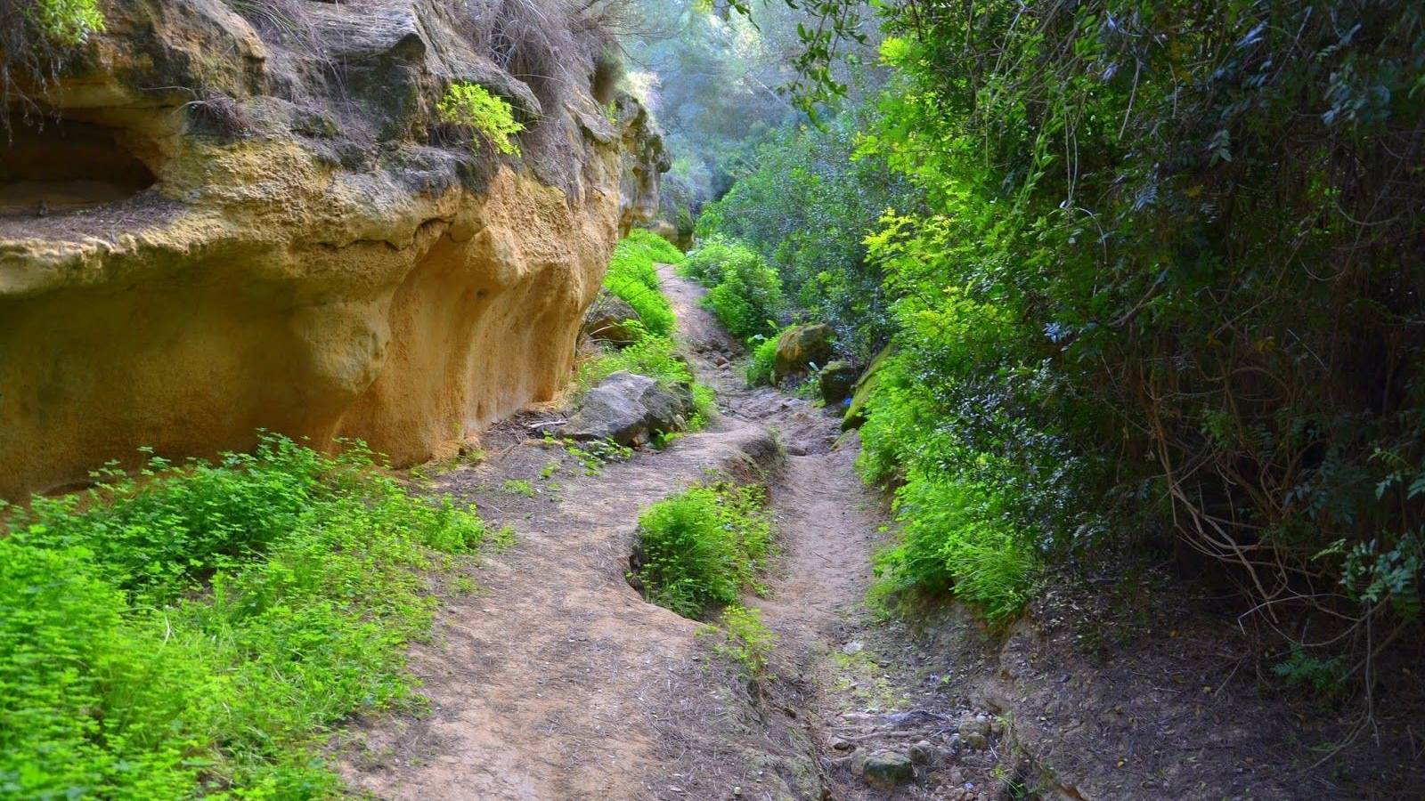 New Build - Villa - Pinar de Campoverde