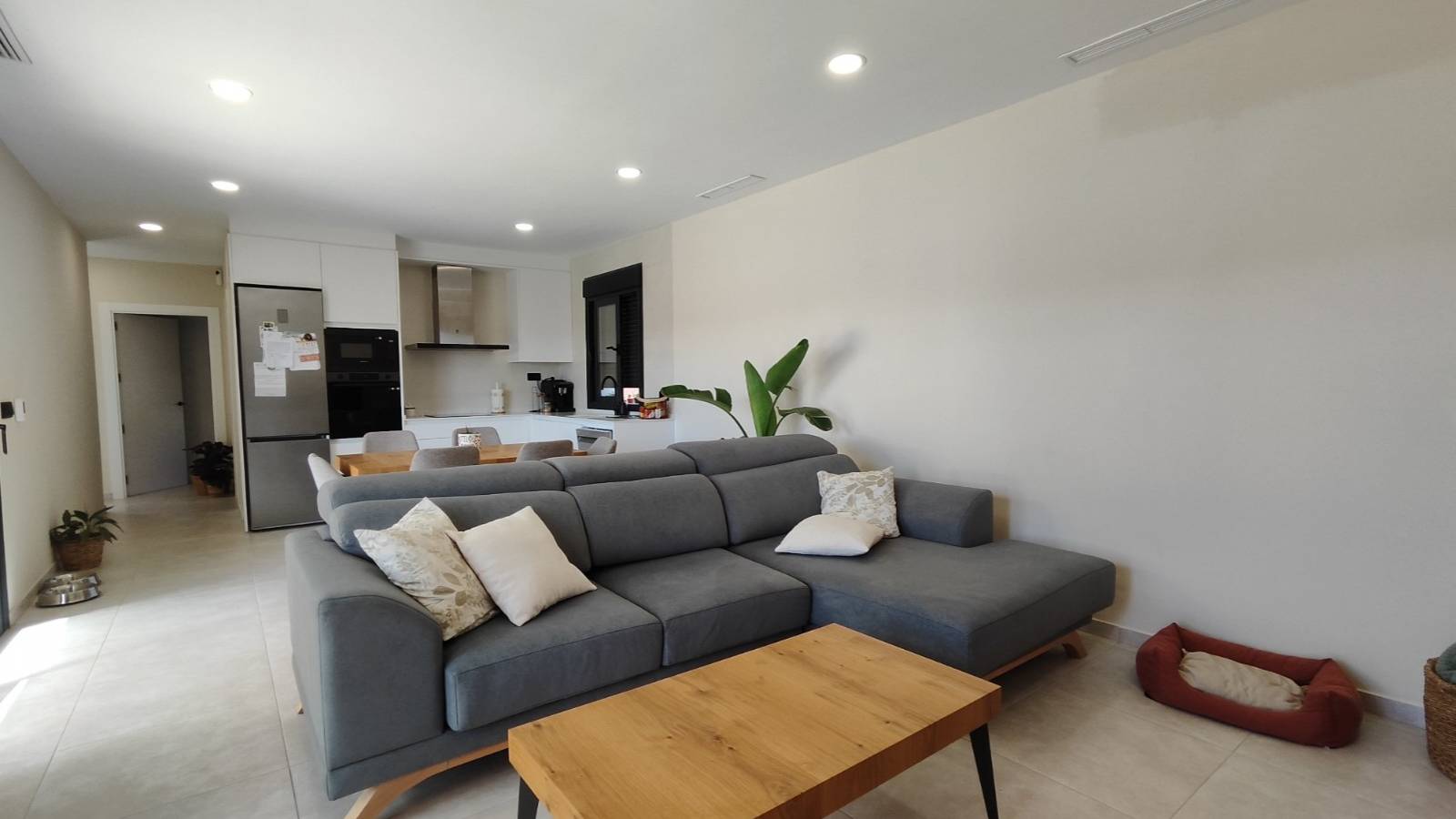 New Build - Villa - Pinoso